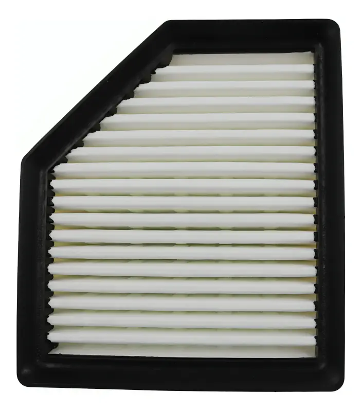 Filtro De Aire X-trail 2022-2024 Nissan Original
